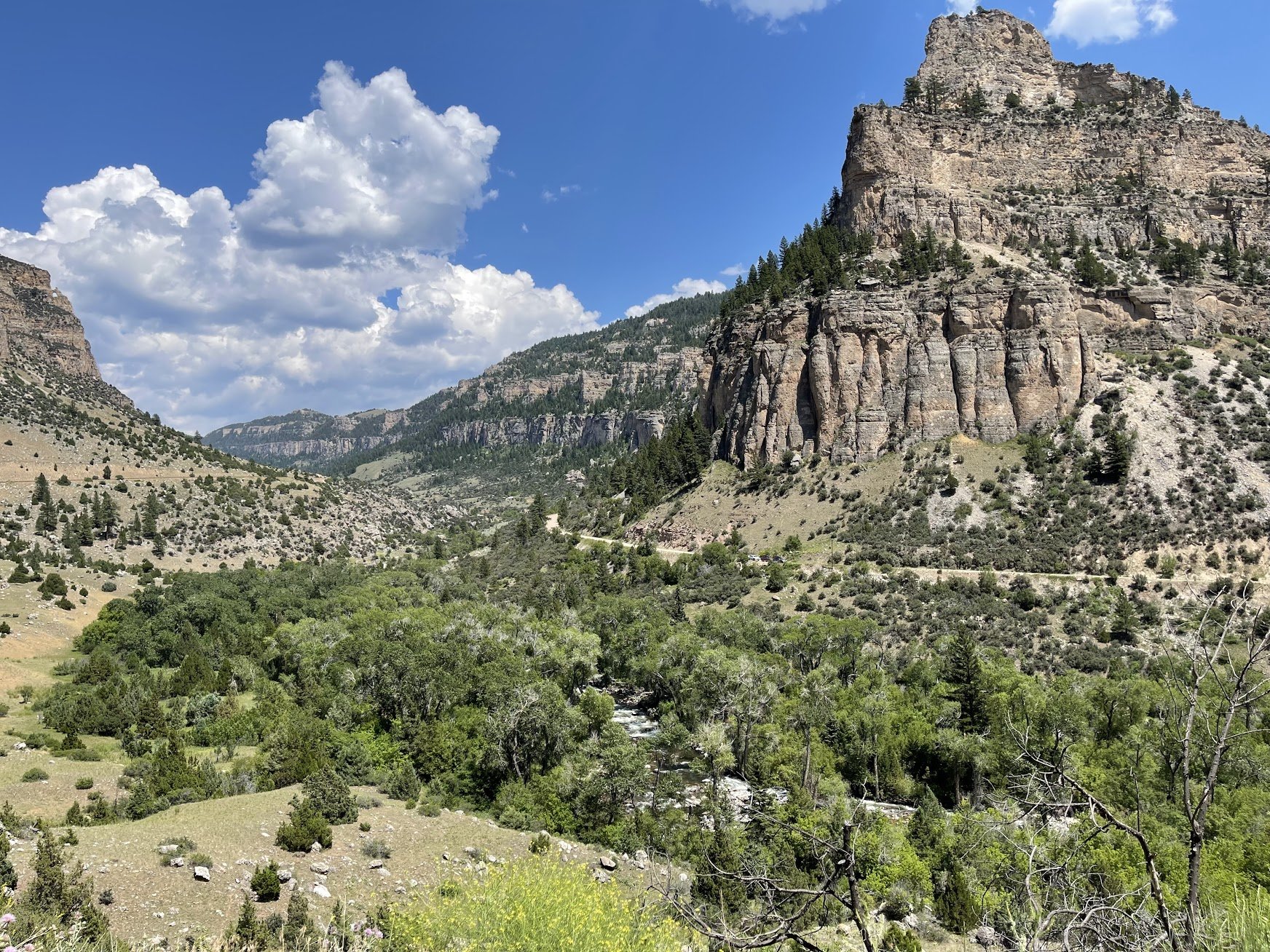  Absolutely Stunning! 