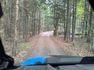  Heavily wooded area, Beautiful and peaceful when you stop to take it in! 