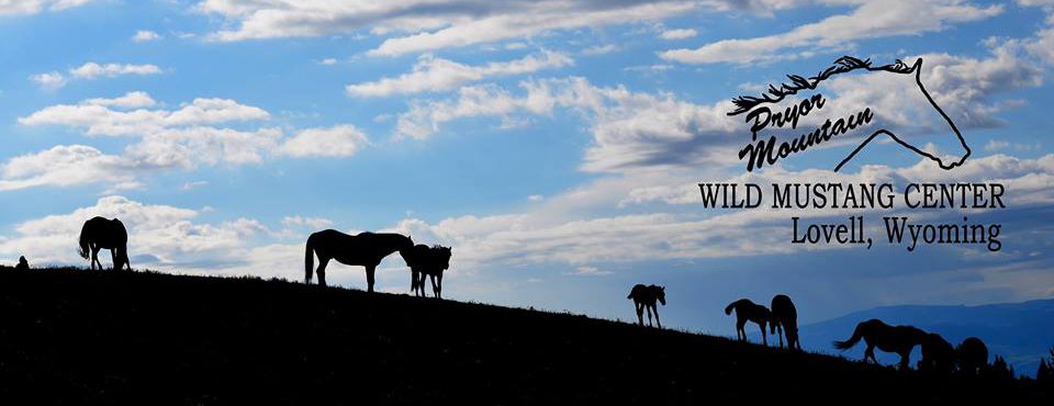  Pryor Mts. Wild Mustang Center 