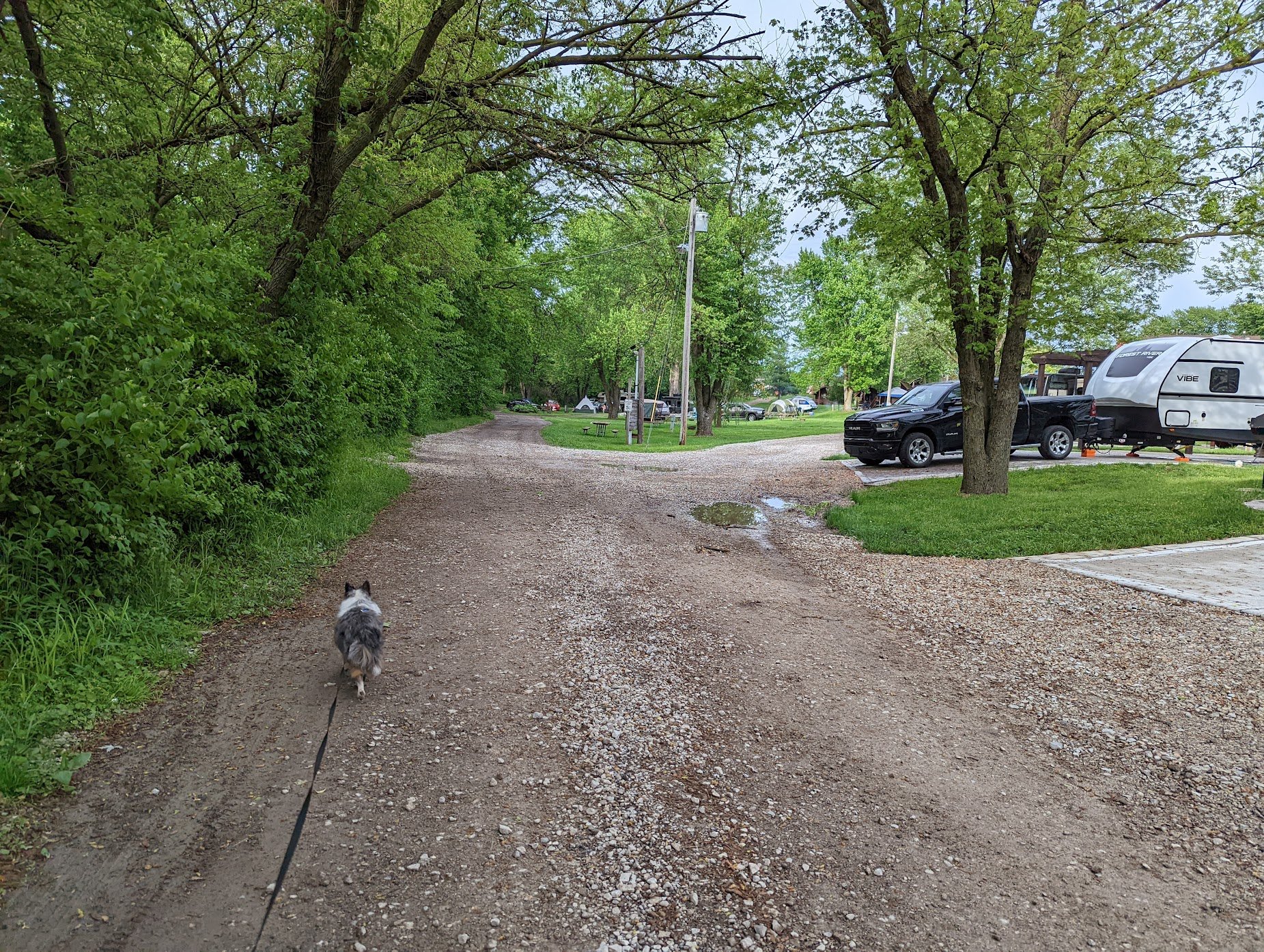  Right off the bat, I have to say, the Staff at this KOA were incredibly kind and very helpful.  This was the first time staying at a KOA Holiday Campground for me and it did not disappoint!  Remmy & I stayed only one night here, but I wished we could have stayed longer!  Great campground! 