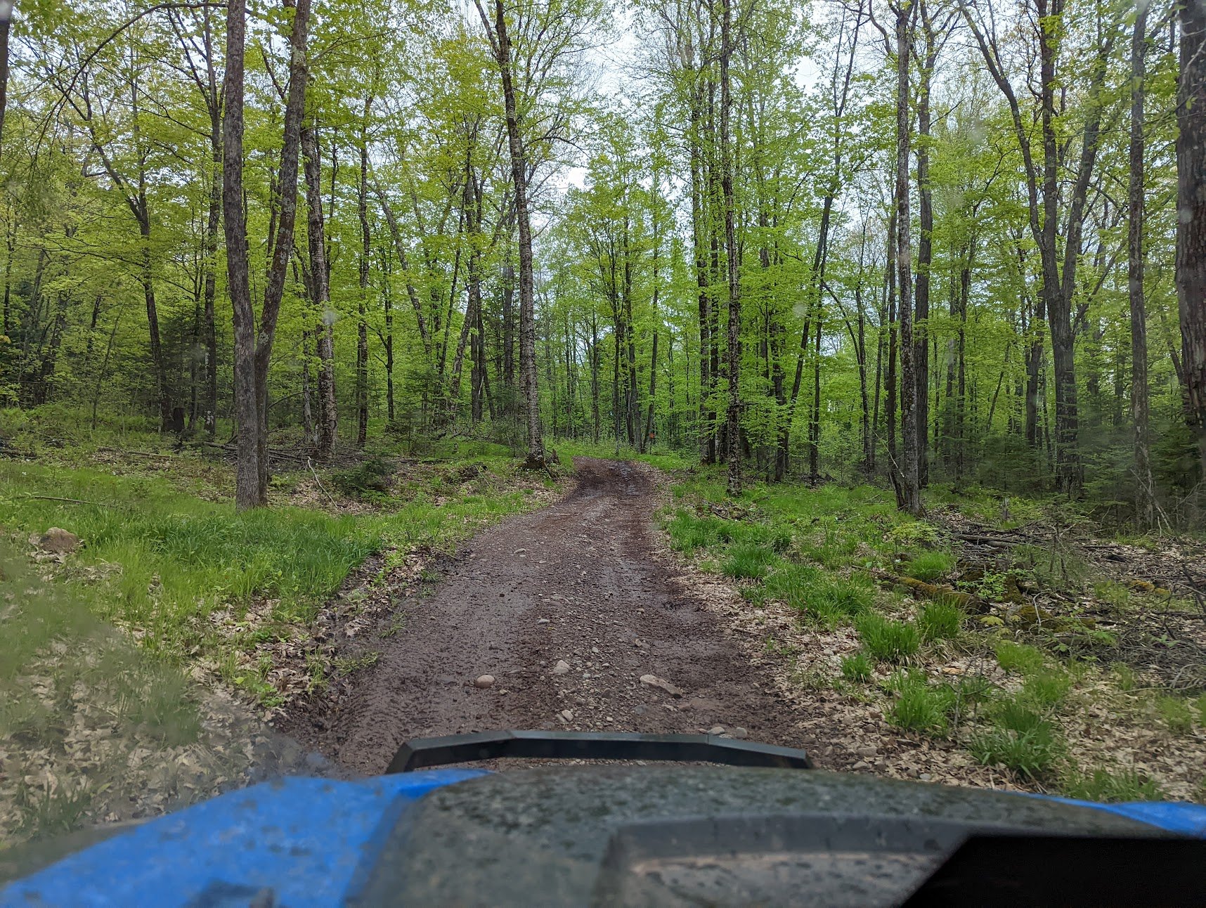  A very rocky trail, you will start to notice less and less wear on the trail as we progress through this review, mainly because of the poor state of the trails, I was really looking forward to the trails here but in the condition, they were in, I just could not continue very far. 