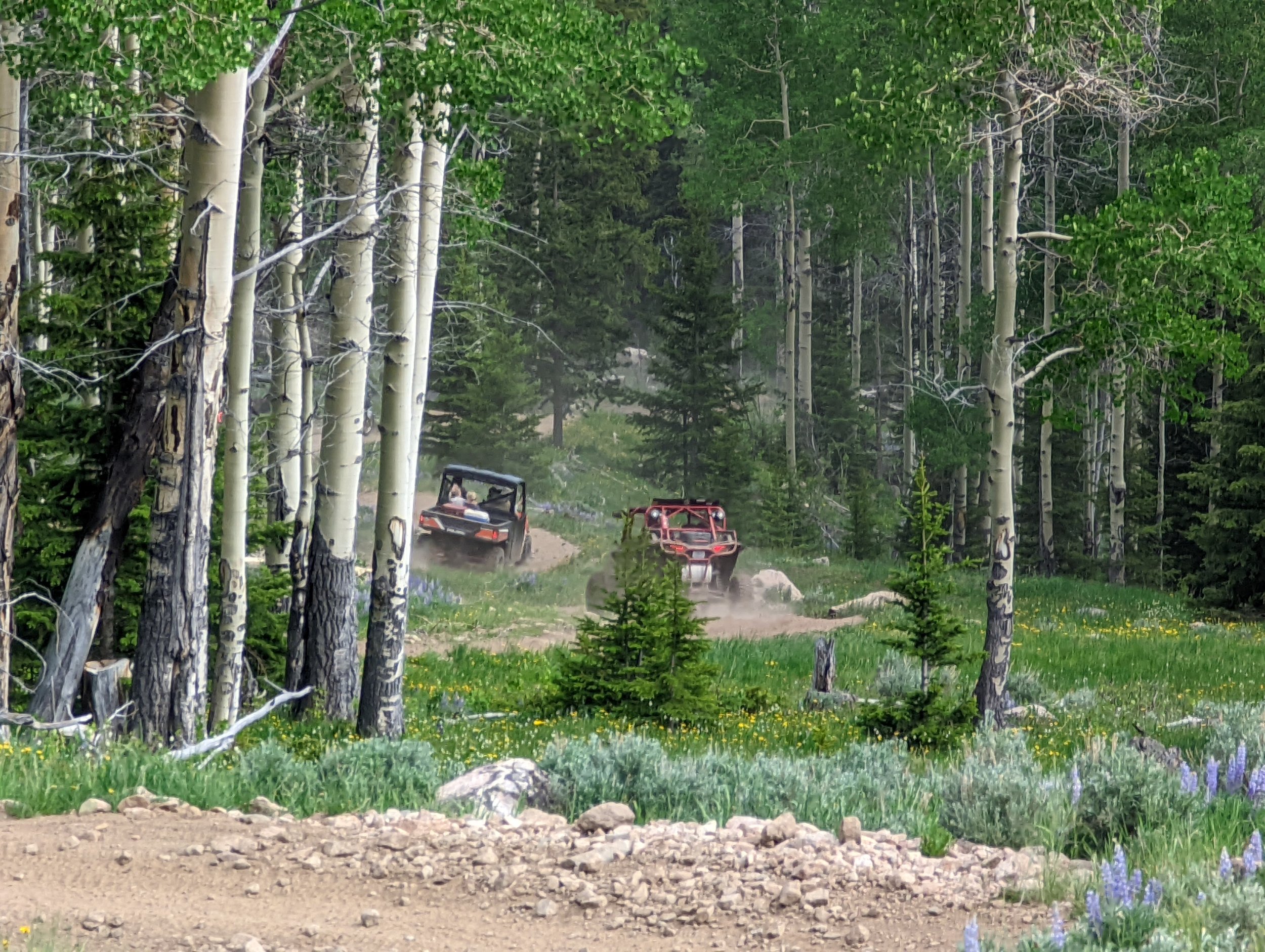  There are 1200 miles of trails in the Bighorn Mountains and You rarely come across anyone else amongst these trails, they are expansive and slow going due to the terrain.  The trails in the area are some of the most rugged I have come across and you better either have someone with you or tools of your own, because there is very little help out here.  The biggest issue is no cell phone reception, I would recommend having a satellite phone. 