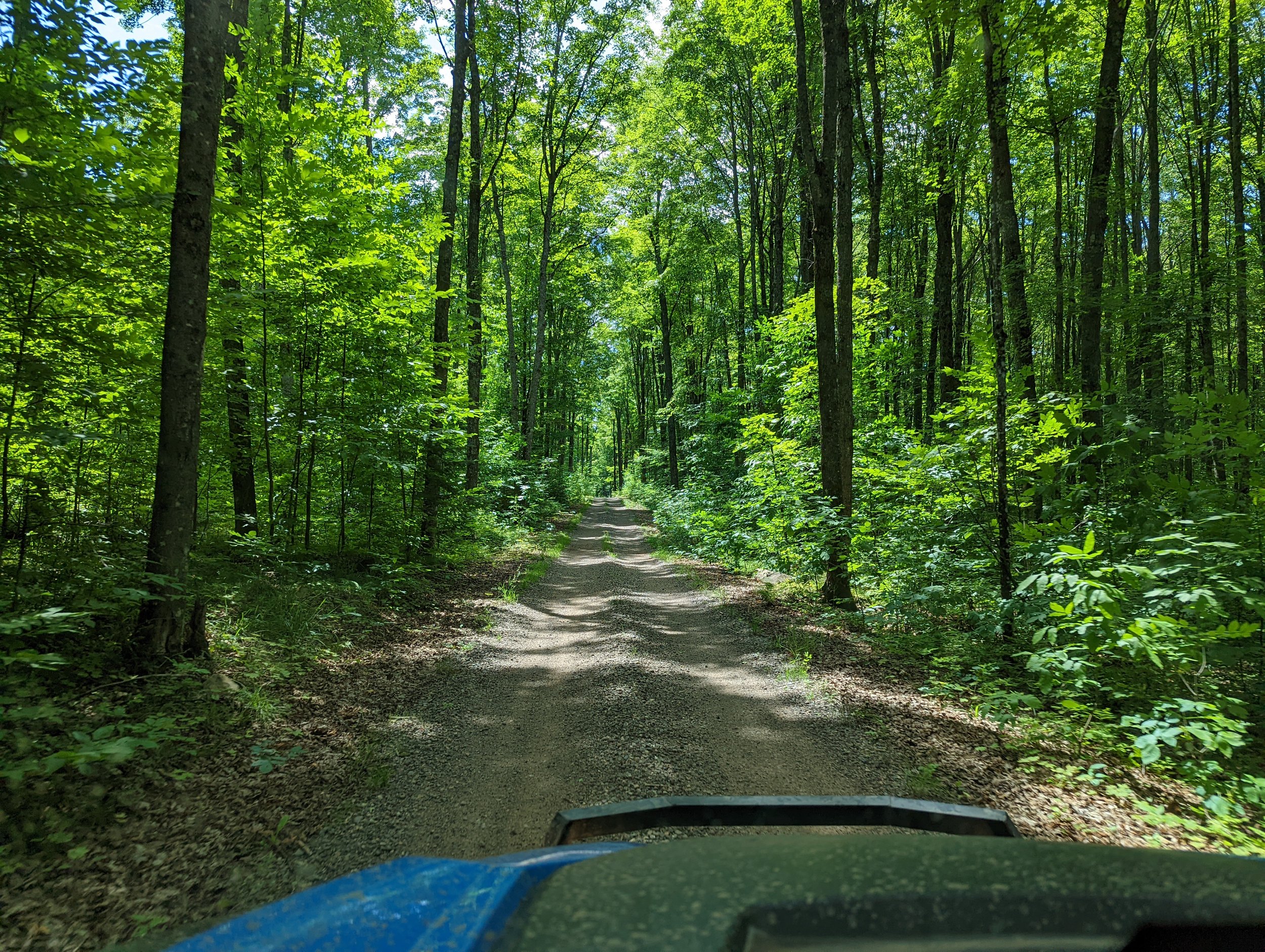  National Forest Road #2206 near the Town Of Alvin, Wisconsin in the Chequamegon-Nicolet National Forest.  Very fun trail!  Short, But fun! 