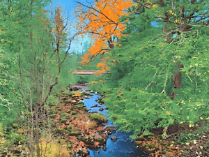 Fall Colors: Iron County