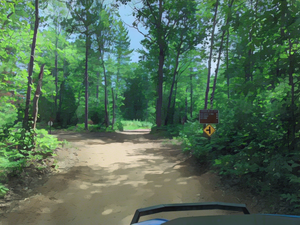 Vilas County Trails Near Conover, Wisconsin