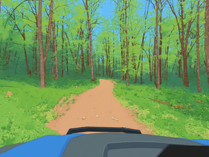 Dead Horse Trail, Ashland County Near Cayuga, Wisconsin