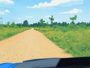 Hatfield, WI area trail photos - Clark & Jackson County Trail System