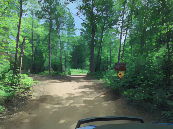 Vilas County Trails Near Conover, Wisconsin
