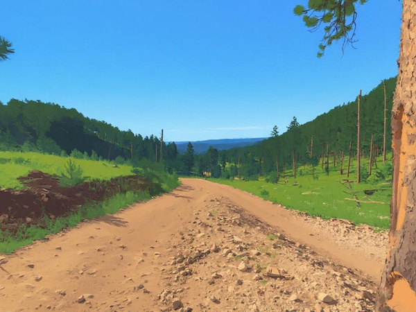 Live Blog: Black Hills National Forest, South Dakota