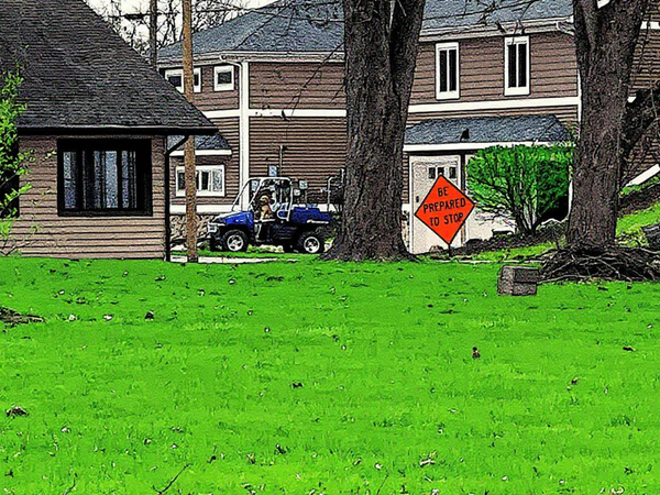 Dog waiting to go for a ride