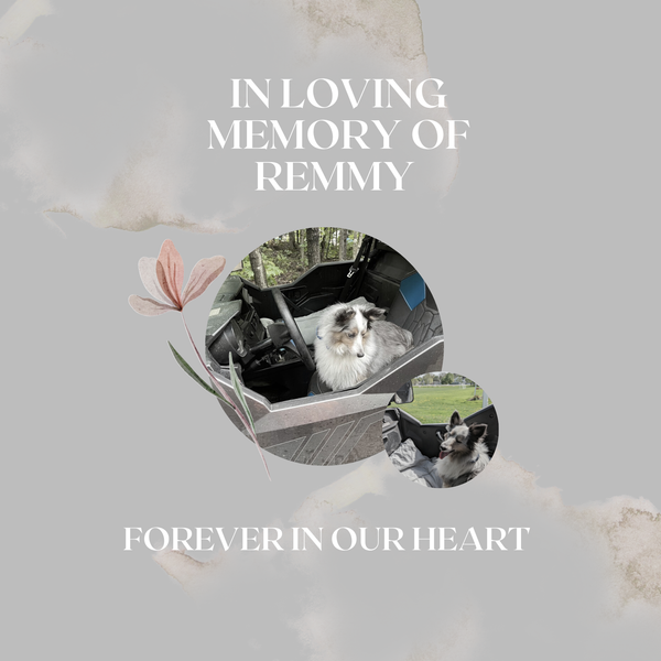 Remmy has passed on, New adventures await him!